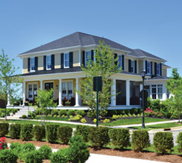 Homestead